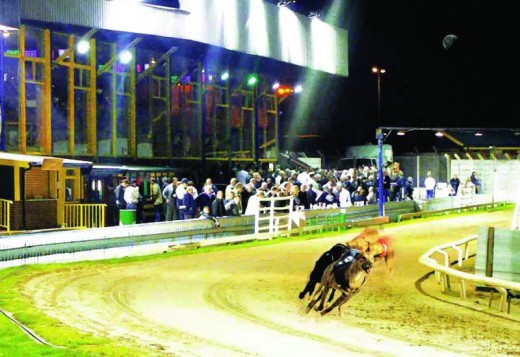 Night at the Dogs – possible Voucher
